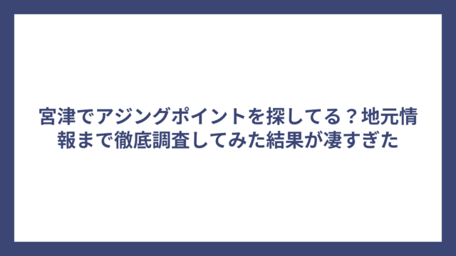 宮津でアジングポイントを探してる？地元情報まで徹底調査してみた結果が凄すぎた