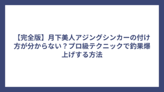 【完全版】月下美人アジングシンカーの付け方が分からない？プロ級テクニックで釣果爆上げする方法