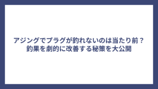 アジングでプラグが釣れないのは当たり前？釣果を劇的に改善する秘策を大公開