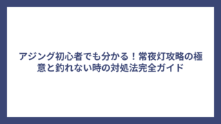 アジング初心者でも分かる！常夜灯攻略の極意と釣れない時の対処法完全ガイド