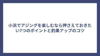 小浜でアジングを楽しむなら押さえておきたい7つのポイントと釣果アップのコツ