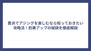 豊浜でアジングを楽しむなら知っておきたい攻略法！釣果アップの秘訣を徹底解説