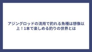アジングロッドの流用で釣れる魚種は想像以上！1本で楽しめる釣りの世界とは