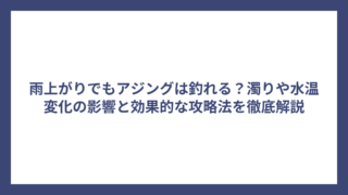 雨上がりでもアジングは釣れる？濁りや水温変化の影響と効果的な攻略法を徹底解説