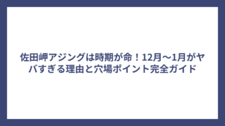佐田岬アジングは時期が命！12月〜1月がヤバすぎる理由と穴場ポイント完全ガイド
