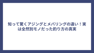 知って驚くアジングとメバリングの違い！実は全然別モノだった釣り方の真実