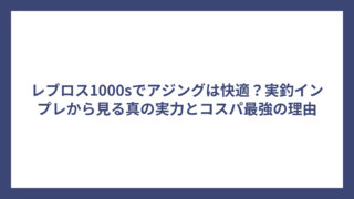 レブロス1000sでアジングは快適？実釣インプレから見る真の実力とコスパ最強の理由