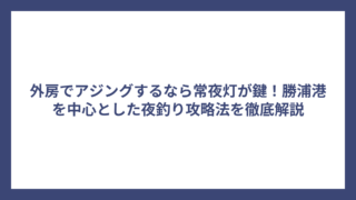 外房でアジングするなら常夜灯が鍵！勝浦港を中心とした夜釣り攻略法を徹底解説