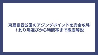 東扇島西公園のアジングポイントを完全攻略！釣り場選びから時間帯まで徹底解説