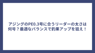 アジングのPE0.3号に合うリーダーの太さは何号？最適なバランスで釣果アップを狙え！