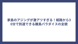 家島のアジングが激アツすぎる！姫路から30分で到達できる離島パラダイスの全貌