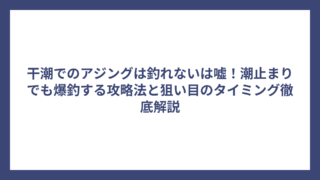 干潮でのアジングは釣れないは嘘！潮止まりでも爆釣する攻略法と狙い目のタイミング徹底解説