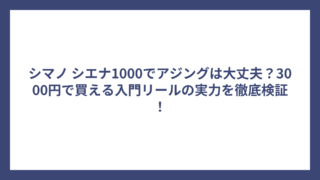 シマノ シエナ1000でアジングは大丈夫？3000円で買える入門リールの実力を徹底検証！