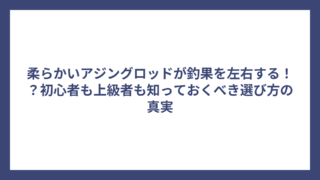 柔らかいアジングロッドが釣果を左右する！？初心者も上級者も知っておくべき選び方の真実
