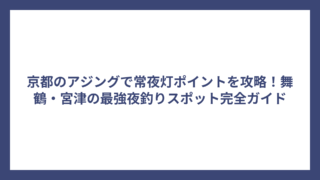 京都のアジングで常夜灯ポイントを攻略！舞鶴・宮津の最強夜釣りスポット完全ガイド