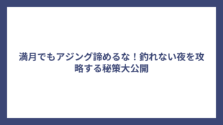 満月でもアジング諦めるな！釣れない夜を攻略する秘策大公開