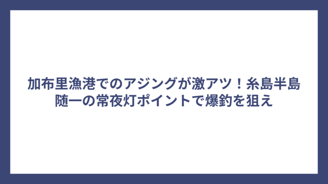 加布里漁港でのアジングが激アツ！糸島半島随一の常夜灯ポイントで爆釣を狙え