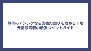 静岡のアジングなら常夜灯周りを攻めろ！地元情報満載の最強ポイントガイド