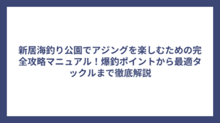 新居海釣り公園でアジングを楽しむための完全攻略マニュアル！爆釣ポイントから最適タックルまで徹底解説