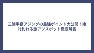 三浦半島アジングの最強ポイント大公開！絶対釣れる激アツスポット徹底解説