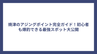 焼津のアジングポイント完全ガイド！初心者も爆釣できる最強スポット大公開