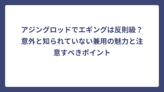 アジングロッドでエギングは反則級？意外と知られていない兼用の魅力と注意すべきポイント
