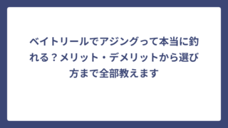 ベイトリールでアジングって本当に釣れる？メリット・デメリットから選び方まで全部教えます