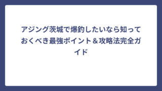 アジング茨城で爆釣したいなら知っておくべき最強ポイント＆攻略法完全ガイド