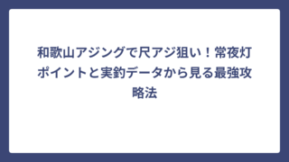 和歌山アジングで尺アジ狙い！常夜灯ポイントと実釣データから見る最強攻略法