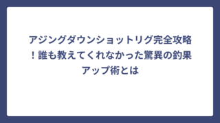 アジングダウンショットリグ完全攻略！誰も教えてくれなかった驚異の釣果アップ術とは