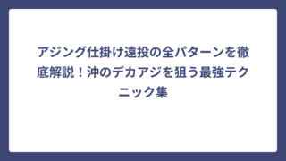 アジング仕掛け遠投の全パターンを徹底解説！沖のデカアジを狙う最強テクニック集