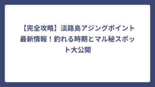 【完全攻略】淡路島アジングポイント最新情報！釣れる時期とマル秘スポット大公開