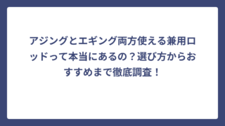 アジングとエギング両方使える兼用ロッドって本当にあるの？選び方からおすすめまで徹底調査！