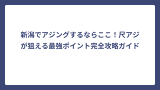 新潟でアジングするならここ！尺アジが狙える最強ポイント完全攻略ガイド