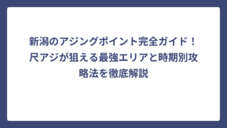 新潟のアジングポイント完全ガイド！尺アジが狙える最強エリアと時期別攻略法を徹底解説