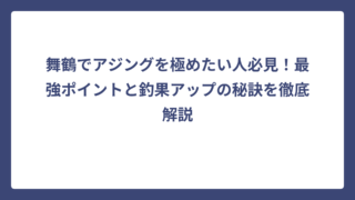 舞鶴でアジングを極めたい人必見！最強ポイントと釣果アップの秘訣を徹底解説
