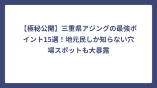 【極秘公開】三重県アジングの最強ポイント15選！地元民しか知らない穴場スポットも大暴露
