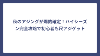 秋のアジングが爆釣確定！ハイシーズン完全攻略で初心者も尺アジゲット