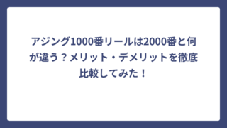 アジング1000番リールは2000番と何が違う？メリット・デメリットを徹底比較してみた！