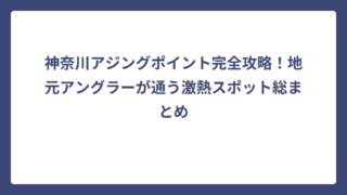 神奈川アジングポイント完全攻略！地元アングラーが通う激熱スポット総まとめ