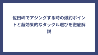 佐田岬でアジングする時の爆釣ポイントと超効果的なタックル選びを徹底解説