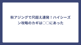 秋アジングで尺超え連発！ハイシーズン攻略のカギは○○にあった