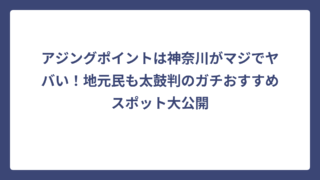 アジングポイントは神奈川がマジでヤバい！地元民も太鼓判のガチおすすめスポット大公開