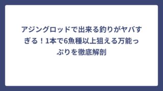 アジングロッドで出来る釣りがヤバすぎる！1本で6魚種以上狙える万能っぷりを徹底解剖