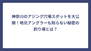 神奈川のアジング穴場スポットを大公開！地元アングラーも知らない秘密の釣り場とは？