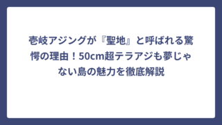 壱岐アジングが『聖地』と呼ばれる驚愕の理由！50cm超テラアジも夢じゃない島の魅力を徹底解説