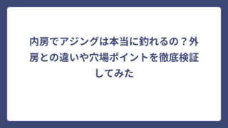 内房でアジングは本当に釣れるの？外房との違いや穴場ポイントを徹底検証してみた