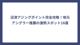沼津アジングポイント完全攻略！地元アングラー推薦の激熱スポット18選