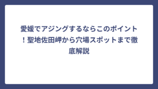 愛媛でアジングするならこのポイント！聖地佐田岬から穴場スポットまで徹底解説
