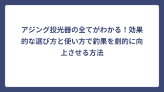 アジング投光器の全てがわかる！効果的な選び方と使い方で釣果を劇的に向上させる方法